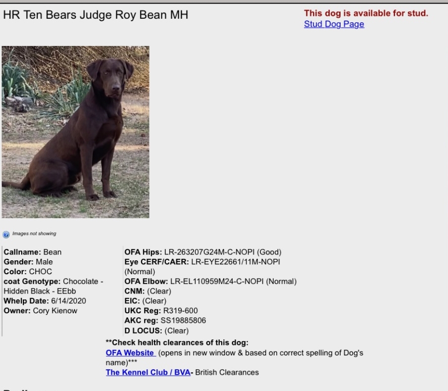 HR TEN BEARS JUDGE ROY BEAN MH